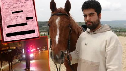 Atla Markete Gitti, 10 Bin TL Ceza Yedi! Mersin'de Şok Eden Olay