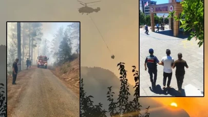 Torpil şakası bir ormanı yok etti