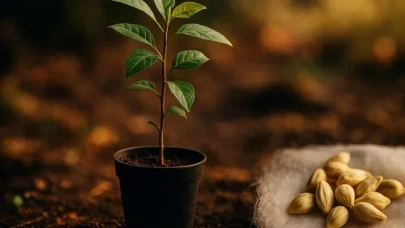 Hem Evde Yetişiyor Hem Böcekleri Kaçırıyor: Bu Kokuya Sonsuza Kadar Dayanamıyorlar!