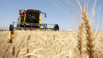 Buğday tırmanıyor, arpa düşüyor! Hububatta fiyat fırtınası
