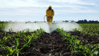 Gıda alarmı! İşte Türkiye’de en fazla pestisit bulunan 10 ürün