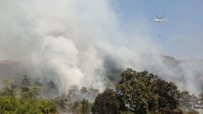 Havalar ısındı yangınlar başladı!