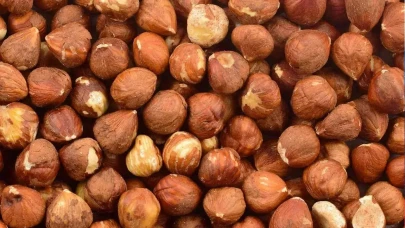 Serbest piyasa fındık fiyatları düşüşte! Ordu'da üreticilerin endişeli bekleyişi sürüyor