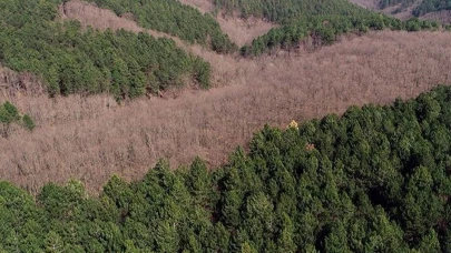 Alanya'da şoke eden olay! Ormanda yürüyenler gördü ekipler harekete geçti