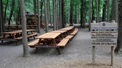 İstanbul’da şok karar! Ormanlara giriş yasaklandı, yasak 15 Ekim’e kadar sürecek!