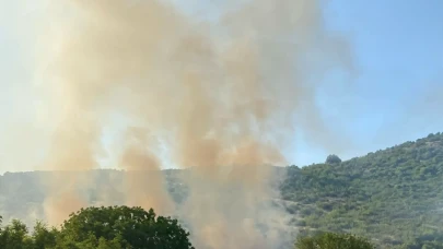 Bodrum Türkbükü’nde yangın paniği! Havadan müdahale sürüyor