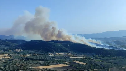 Aydın’da orman yangını hızla yayılıyor: Ekipler seferber oldu