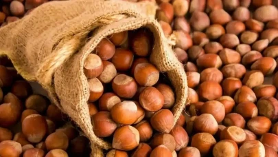 Serbest piyasa fındık fiyatları düşüşte! 5 Haziran Ordu fındık fiyatları