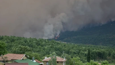 Bir kıvılcım yetti: Taraklı’dan Gölpazarı’na uzanan felaket zinciri