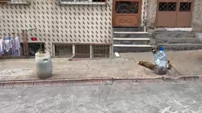 'Park Edilmez' tabelası koymak yasak: Sokağa duba koyana ceza yağacak