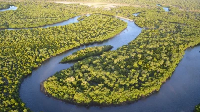 L’Oréal Türkiye, geleceği doğadan ilham alarak tasarlıyor