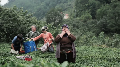 Islıkla gelen miras: Giresun’da kültürlerarası buluşma başlıyor!