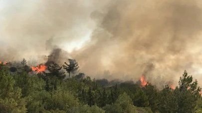 Yangın büyüyor: 150 ev boşaltıldı elektrik kesildi!