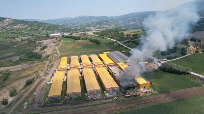140 binden fazla tavuk etkilendi: Ankara’da yumurta tesisinde felaket