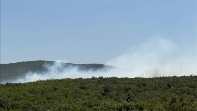 Nilüfer’de Alevler Yükseldi: Ormanlık Alandaki Yangın Kontrol Altına Alınmaya Çalışılıyor