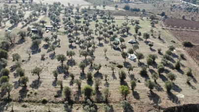 Zeytinlikler Korunacak, Enerjide Yerli Dönem Başlıyor!