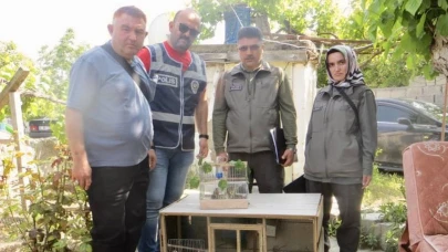 Saka kuşlarına tuzak kuran şahsa şok ceza