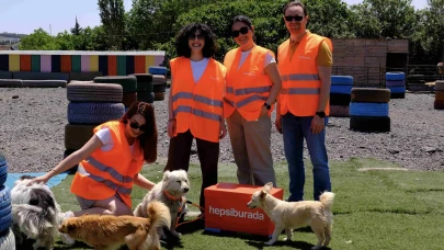 Her Basket Bir Can: Millî Takımlarımızın Sayıları Sokak Hayvanlarını Doyuruyor!