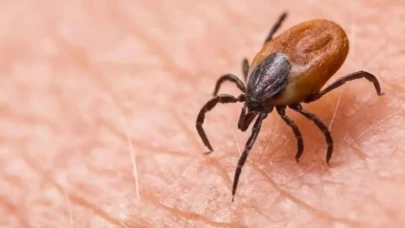 Trabzon’da KKKA şüphesiyle tedavi gören çoban hayatını kaybetti