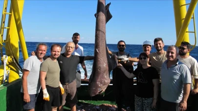 Marmara Denizi’nde tehlike çanları: Köpek balıkları alarm veriyor!