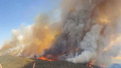 İzmir alev alev! 20 ev tahliye edildi