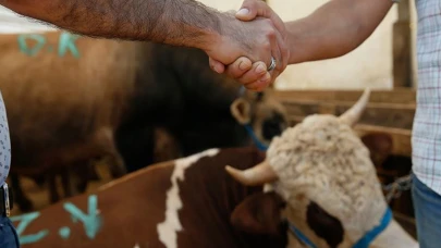 Kurbanlık alırken bu hatalara düşmeyin! Diyanet'ten kritik uyarı