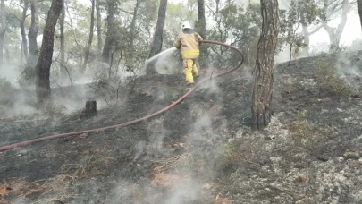 Çanakkale’de yangın alarmı: Havadan ve karadan müdahale!