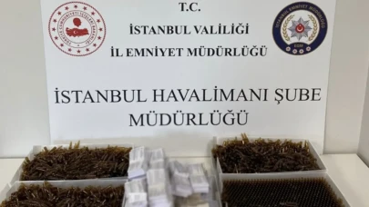 İstanbul Havalimanı'nda 12 Milyonluk Kaçak İlaç Operasyonu!