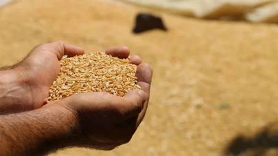 Güncel hububat fiyatları açıklandı! Arpa ve buğdayda sert yükseliş