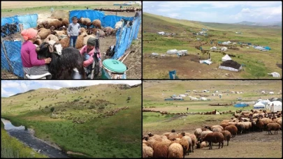 Ağrı'nın Yüksek Yaylalarında Göçer Hayatının Zorlukları