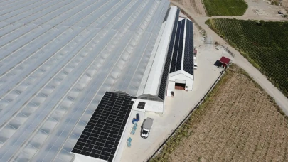 Altun Gıda'dan Jeotermal Tarım Hamlesi! Türk Tarımında Yeni Dönem Başlıyor