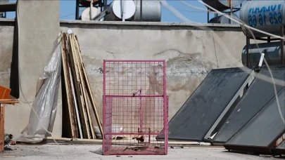 Mersin’de Apartmanları Birbirine Katan Maymun: Hayri, Balkondan Balkona Geziyor