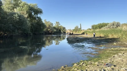 Sakarya’da feci kaza: Dereye düştü, çaresizce can verdi!