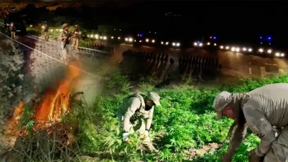 Uyuşturucu tacirlerine tarla kılıfı: 102 bin kök kenevir tek operasyonda yakıldı