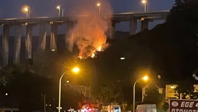 Beykoz’da yangın nerede ve neden çıktı?