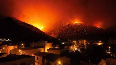 Bursa’da ormanları yakan şüpheli şahıs tutuklandı