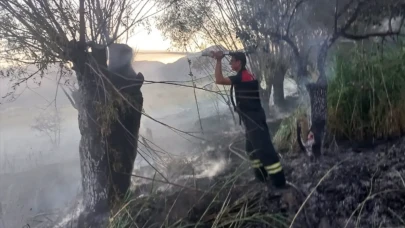 Bursa İnegöl’de alevler yükseldi: 20 dönümlük ormanlık alan kül oldu
