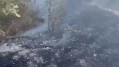 Datça’da Kuru Ot Yangını Paniğe Yol Açtı: Ekipler Alevleri Büyümeden Söndürdü