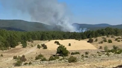 Eskişehir’de orman yangını alarmı!