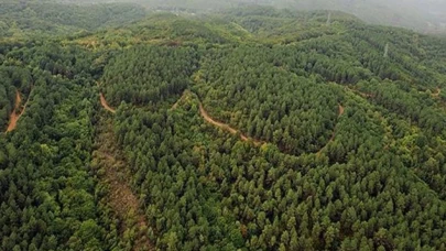 Niğde'de ormanlara giriş yasaklandı! Hangi bölgeler kapatıldı, kimler girebilecek?