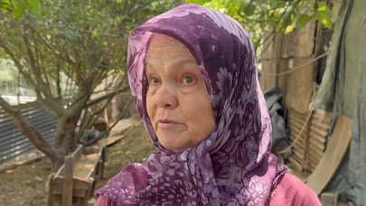 Pendik’te ağıla sabah baskını: Sahipsiz köpekler beş koyunu telef etti