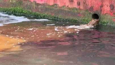 Valilik Harekete Geçti: Yalova’da Deniz Kirliliği İçin Numuneler TÜBİTAK’a Gönderildi