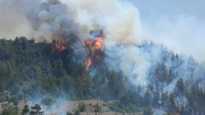 Bilecik’te tarım arazisinde çıkan yangın ormana sıçradı