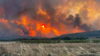 İstanbul’un akciğerlerinden biri alev aldı: Kent ormanı'nda alarm!