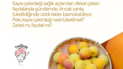 Sağlık mucizesi mi, tehlike mi? Kayısı çekirdeği hakkında bilmeniz gereken her şey!