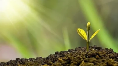 Yeşil ekonomi için yasal devrim: Türkiye İklim Kanunu’nu kabul etti