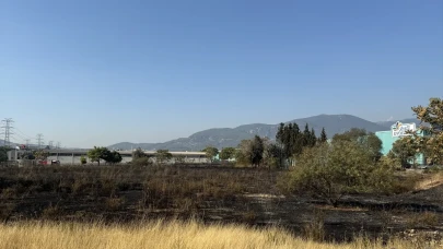 Midyat'ta orman alarmı! Söğütlü'de alevlerle zorlu mücadele