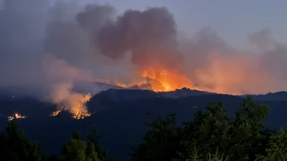 Orman şehitlerimiz için siyasilerden peş peşe taziye mesajları