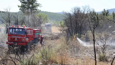 Milas Meşelik'te yangın paniği: Orman ve itfaiye ekiplerinden ortak müdahale