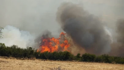Şiddetli rüzgar yangını taşıdı: Tekirdağ'da anız yangını ormanlık alana yayıldı